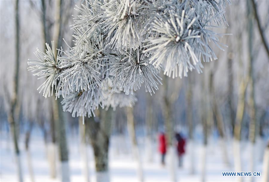 CHINA-SHENYANG-RIME (CN)