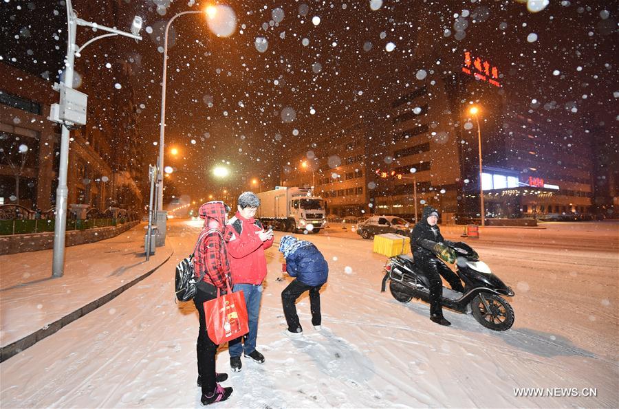 CHINA-TIANJIN-SNOWFALL(CN)