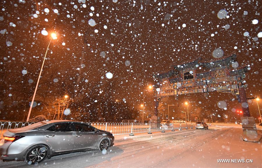 CHINA-TIANJIN-SNOWFALL(CN)