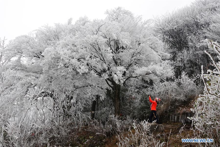 #CHINA-RIME-SCENERY (CN)