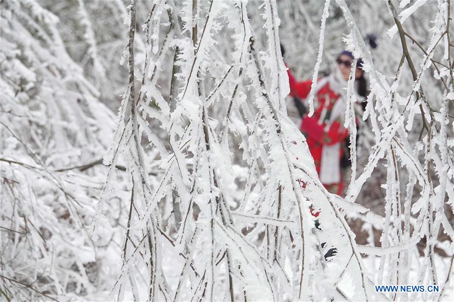 #CHINA-GUIYANG-FROST SCENERY (CN)