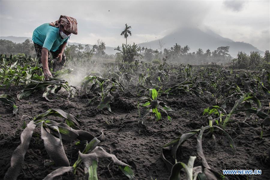 INDONESIA-NORTH SUMATERA-MOUNT SINABUNG-AFTER ERUPTION