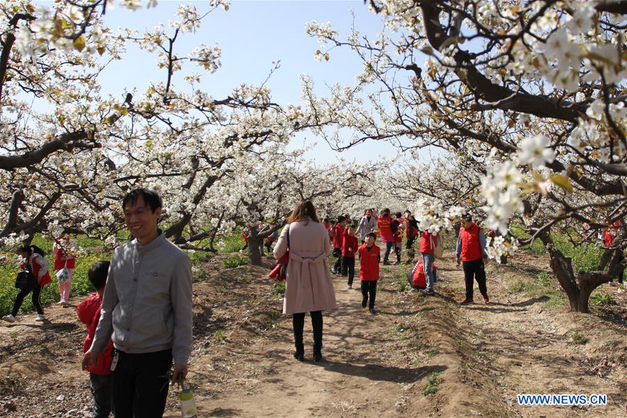 #CHINA-SPRING LEISURE (CN)