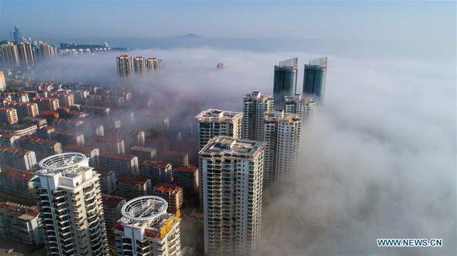 #CHINA-SHANDONG-YANTAI-ADVECTION FOG (CN)