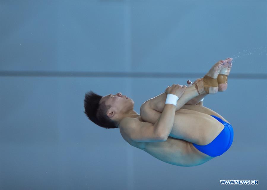 (SP)CHINA-WUHAN-DIVING-FINA-WORLD CUP (CN)