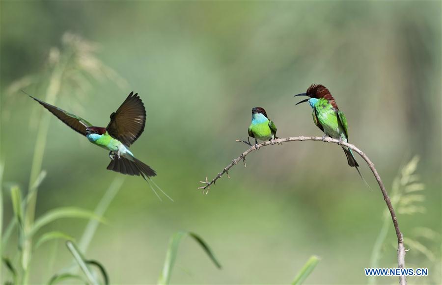 XINHUA PHOTO WEEKLY CHOICES