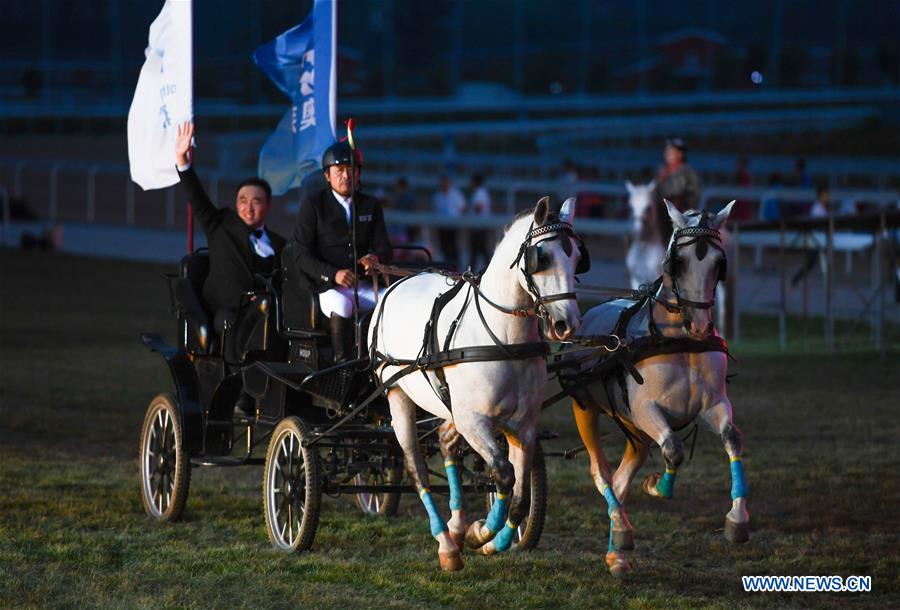 CHINA-INNER MONGOLIA-HORSE-ART WEEK (CN)