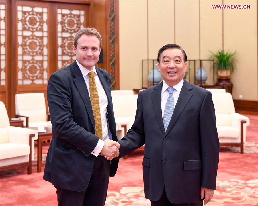 CHINA-BEIJING-WANG CHEN-BRITISH PARLIAMENT DELEGATION-MEETING (CN)