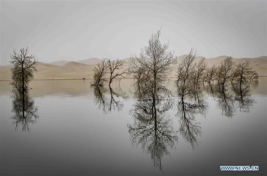 CHINA-XINJIANG-DESERT POPLAR FOREST (CN)