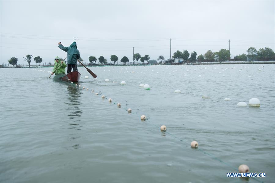 CHINA-ZHEJIANG-ZHUJI-PEARL INDUSTRY (CN)