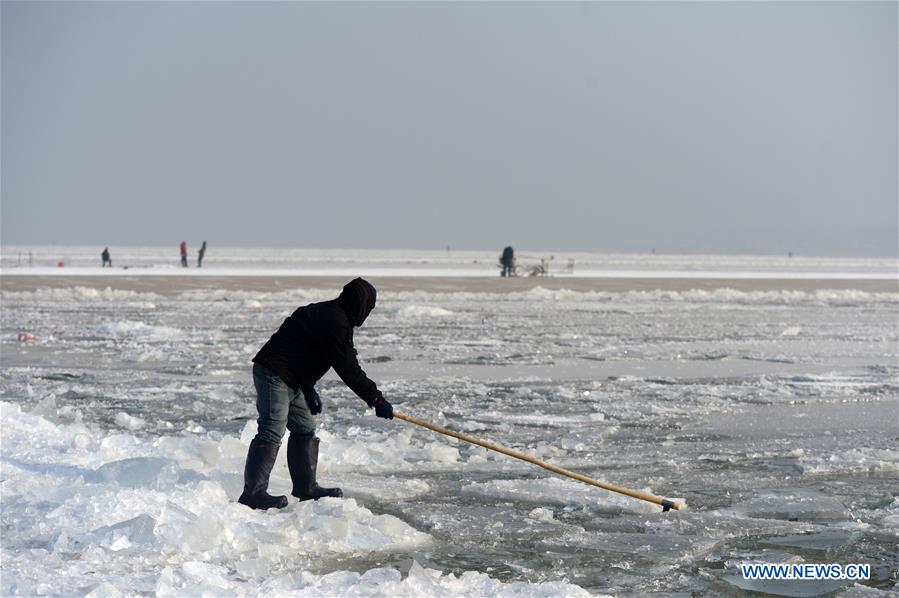 CHINA-HEILONGJIANG-HARBIN-ICE COLLECTING (CN)