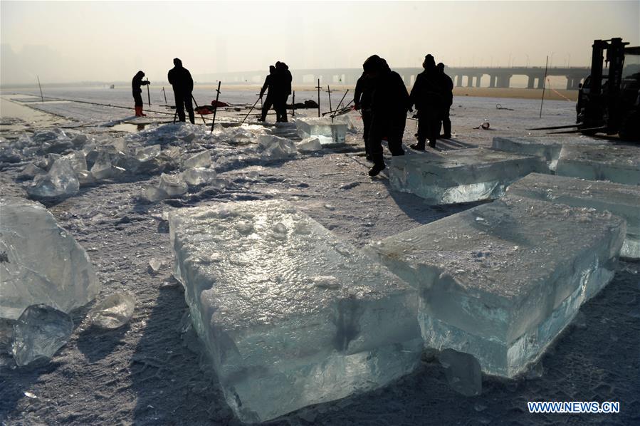 CHINA-HEILONGJIANG-HARBIN-ICE COLLECTING (CN)