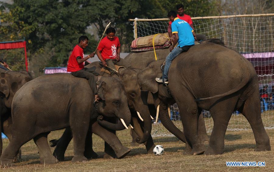 NEPAL-CHITWAN-ELEPHANT FESTIVAL