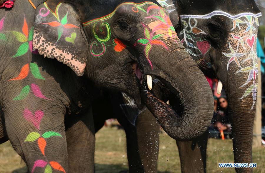 NEPAL-CHITWAN-ELEPHANT FESTIVAL-BEAUTY CONTEST