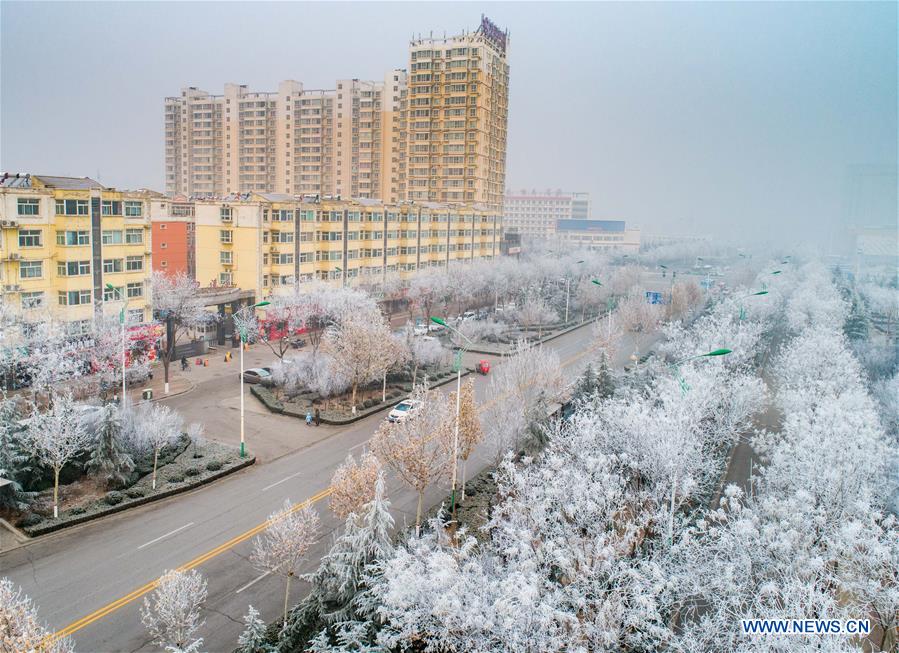 #CHINA-SHANXI-YUNCHENG-RIME SCENERY (CN)