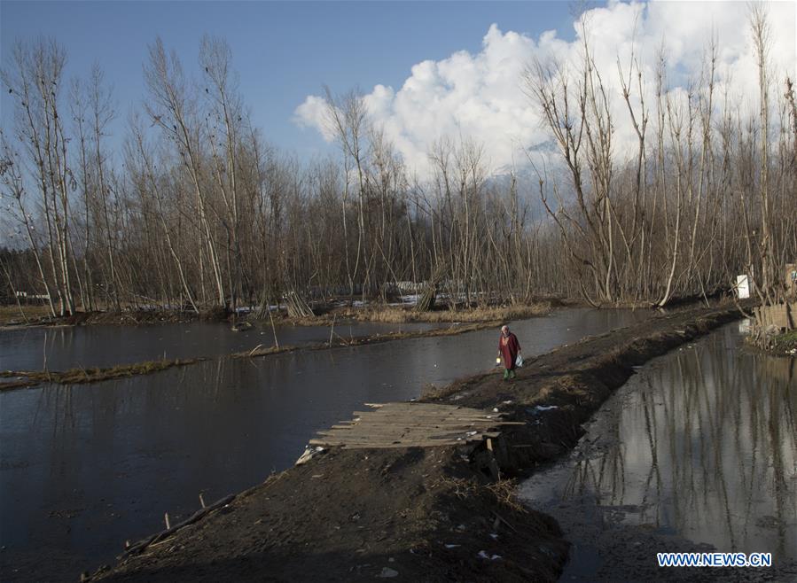 KASHMIR-SRINAGAR-DAILY LIFE