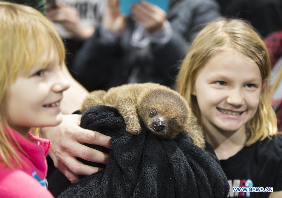 CANADA-TORONTO-WILDLIFE FESTIVAL