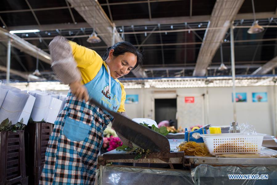 CHINA-YUNNAN-THAILAND-BANGKOK-FLOWER TRADE