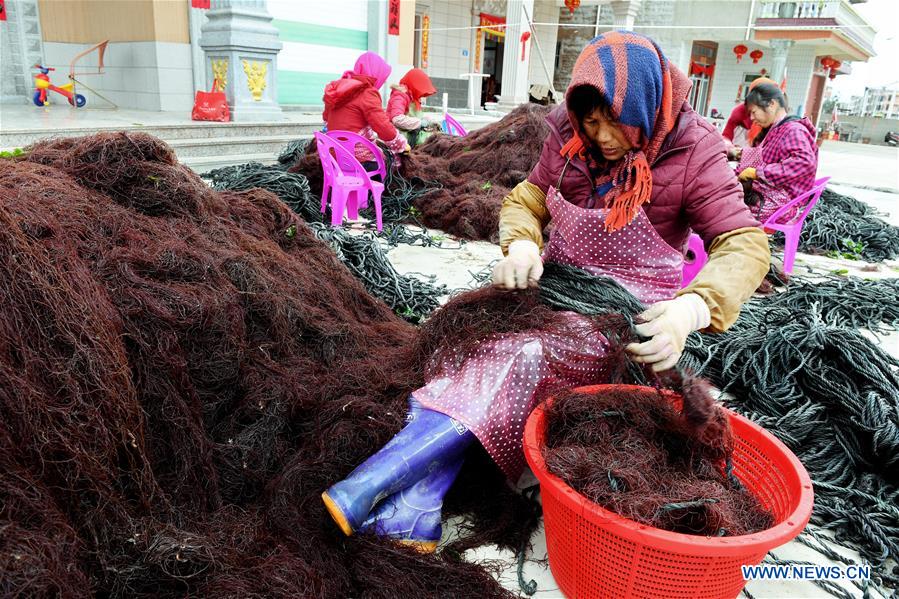 CHINA-FUJIAN-PUTIAN-MARICULTURE(CN)