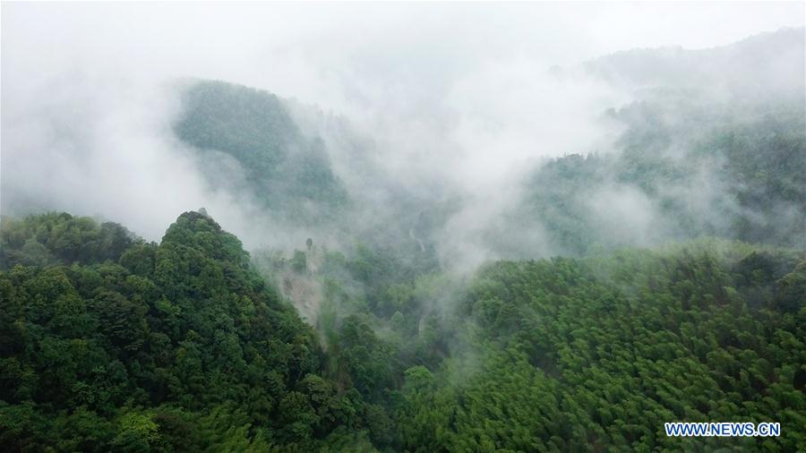 CHINA-GUIZHOU-CHISHUI-SCENERY (CN)