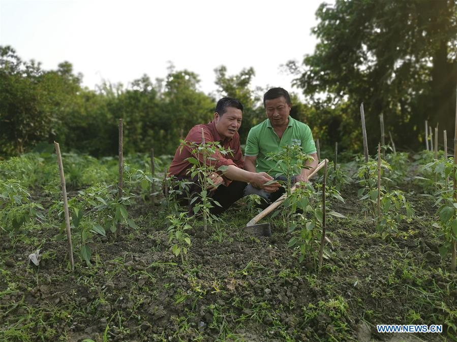 Xinhua Headlines: A glimpse of rural revitalization in east China