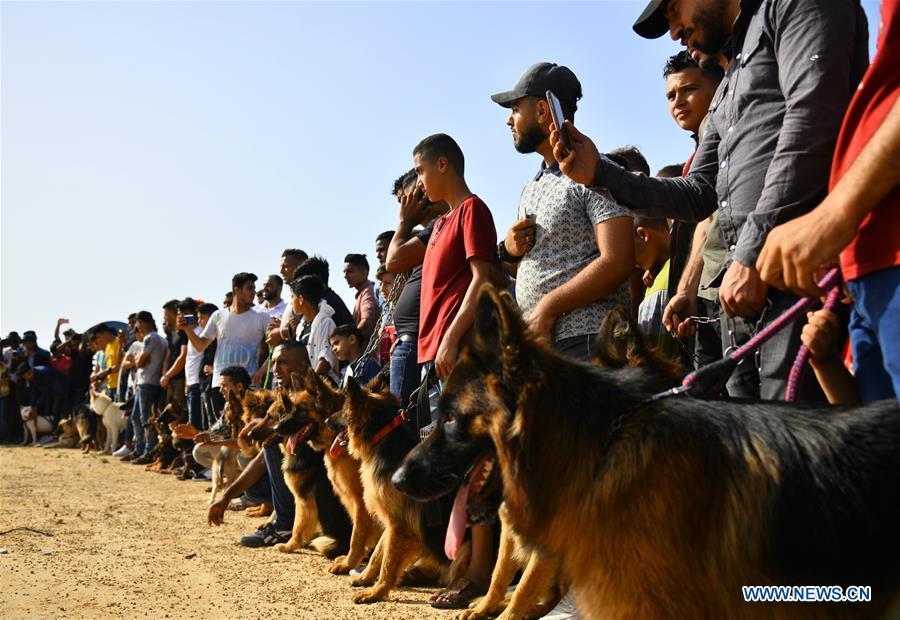 MIDEAST-GAZA-DOG SHOW