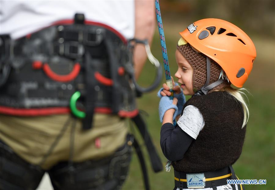 NEW ZEALAND-WELLINGTON-TREE CLIMBING COMPETITION