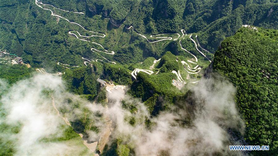 (EcoChina)CHINA-HORTICULTURAL EXPO-HUNAN (CN)