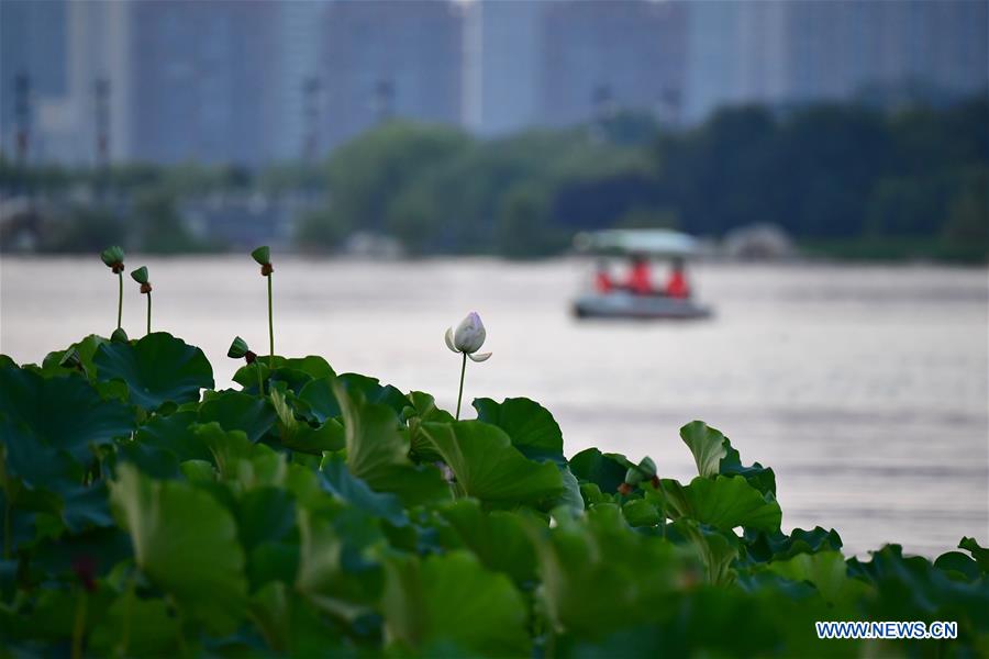 CHINA-XI'AN-SUMMER-PARK-LEISURE (CN)