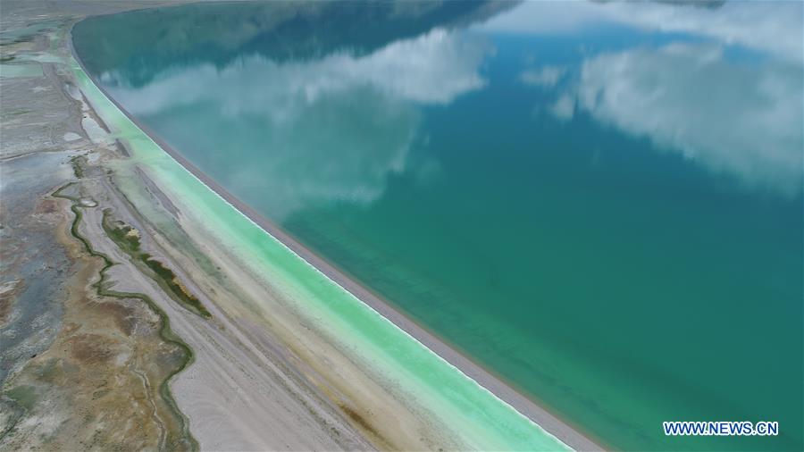 (EcoChina)CHINA-HORTICULTURAL EXPO-TIBET (CN)