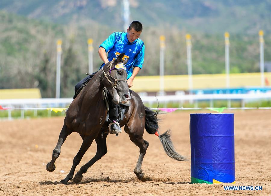 CHINA-INNER MONGOLIA-HUHHOT-EQUESTRIAN SHOW (CN)