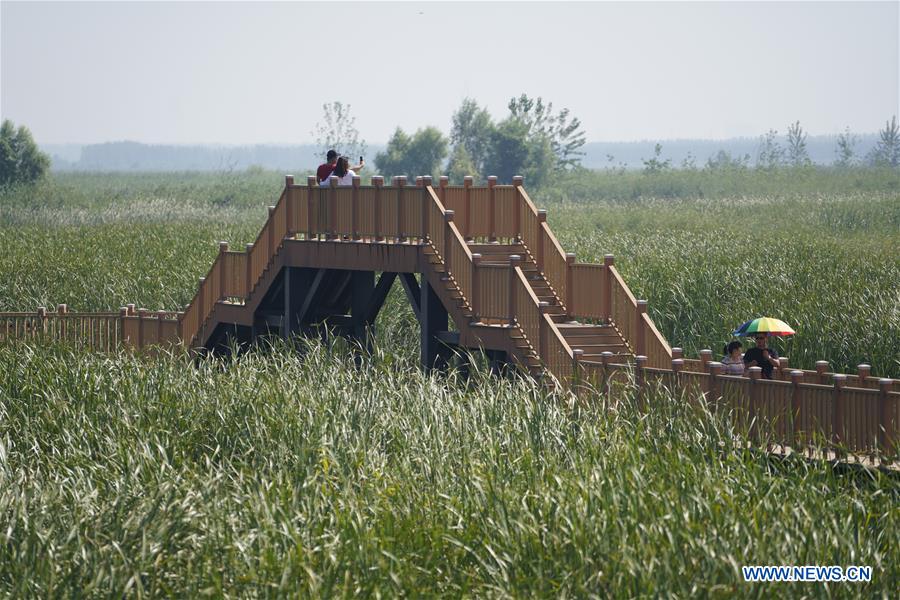 CHINA-HEBEI-XIONGAN-CONSTRUCTION (CN)