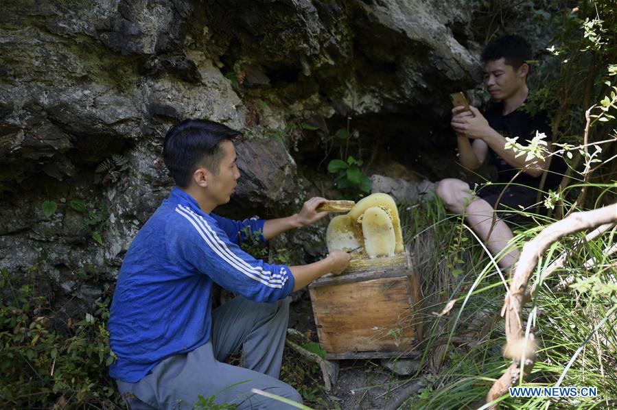 CHINA-HUNAN-MOBILE INTERNET-AGRICULTURE (CN)