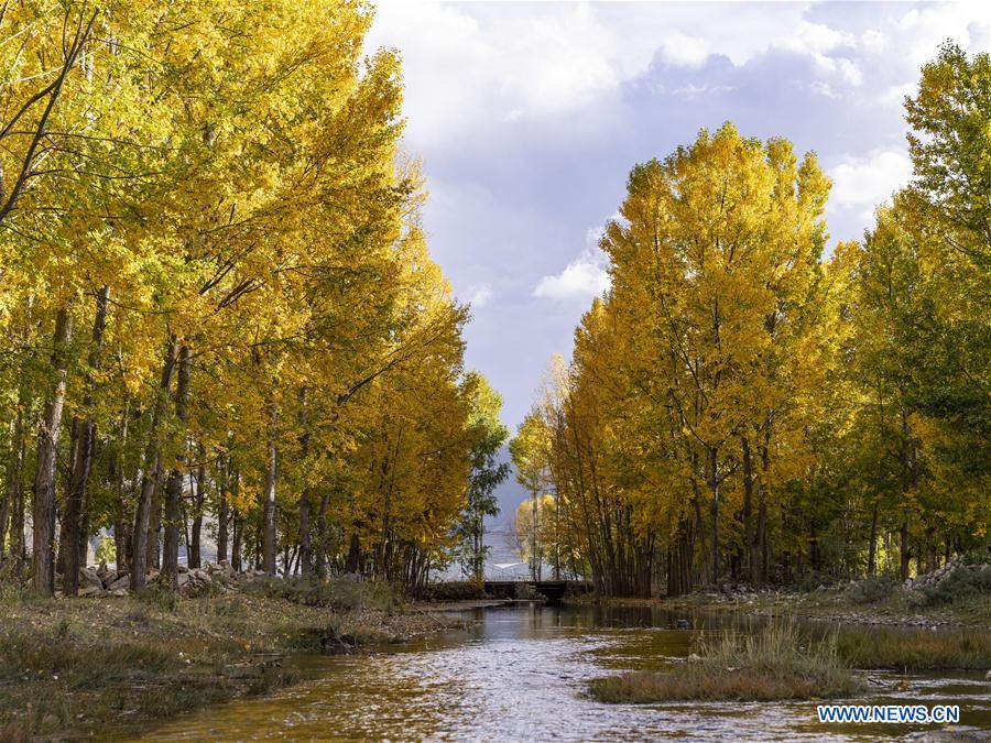 CHINA-TIBET-LHASA-AUTUMN SCENERY (CN)