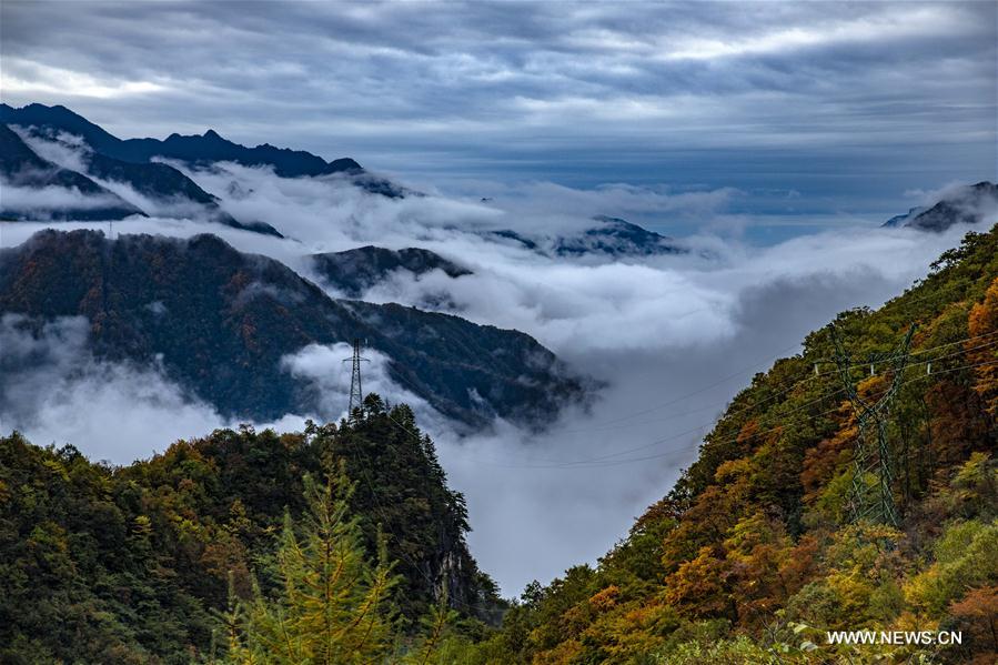 CHINA-HUBEI-SHENNONGJIA-AUTUMN SCENERY (CN)