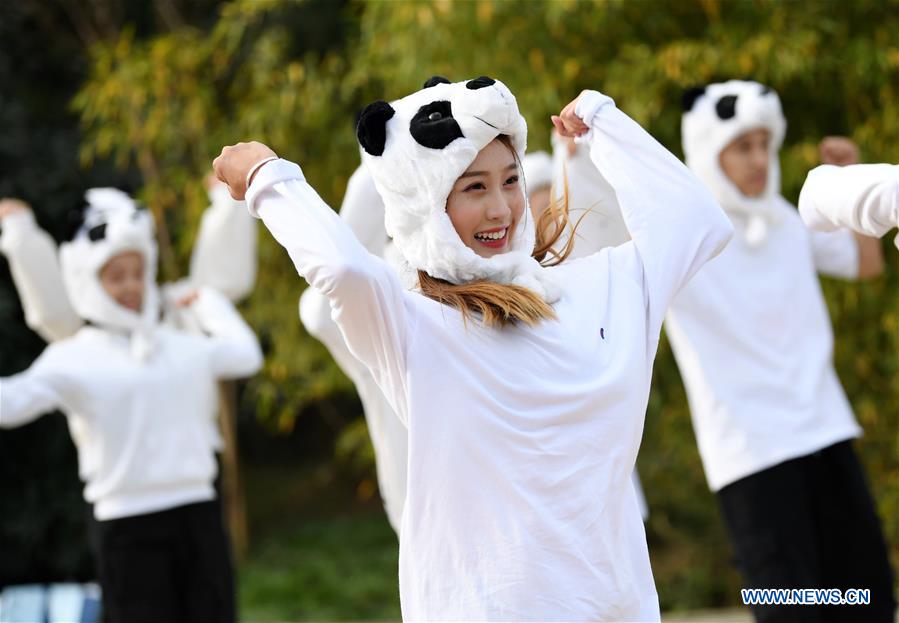 CHINA-SHAANXI-GIANT PANDA-FIRST APPEARANCE (CN)