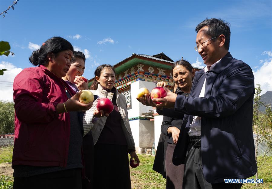 (InTibet) CHINA-TIBET-NYINGCHI-APPLE CULTIVATION PROFESSOR (CN) 