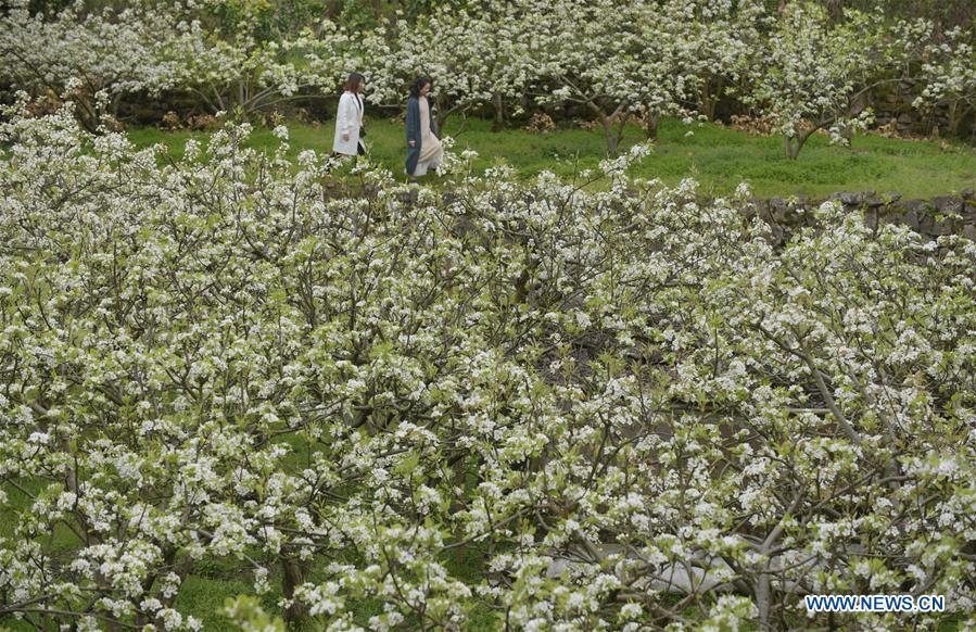 #CHINA-SPRING-LEISURE-FLOWER (CN)