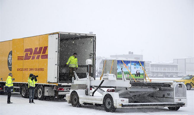 Heavy snowfall welcomes giant pandas arriving in Finland