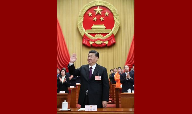 China Focus: Xi Jinping unanimously elected Chinese president, CMC chairman