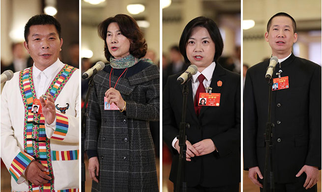 Deputies to 13th NPC receive interview in Beijing