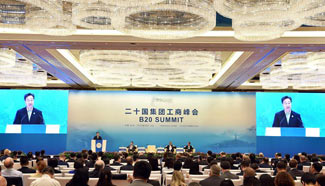 B20 summit concludes in Hangzhou