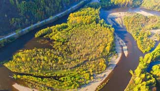 Fantastic scenery in China's Genhe Wetland Park