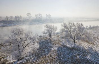 Frost scenery at Wusong Island scenic spot in Jilin