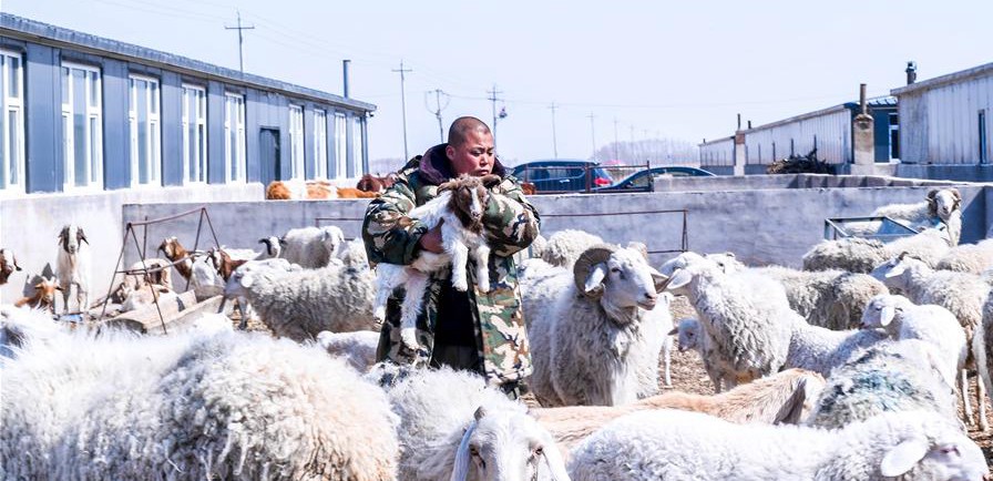 易地搬迁让村民“住得好、能致富”