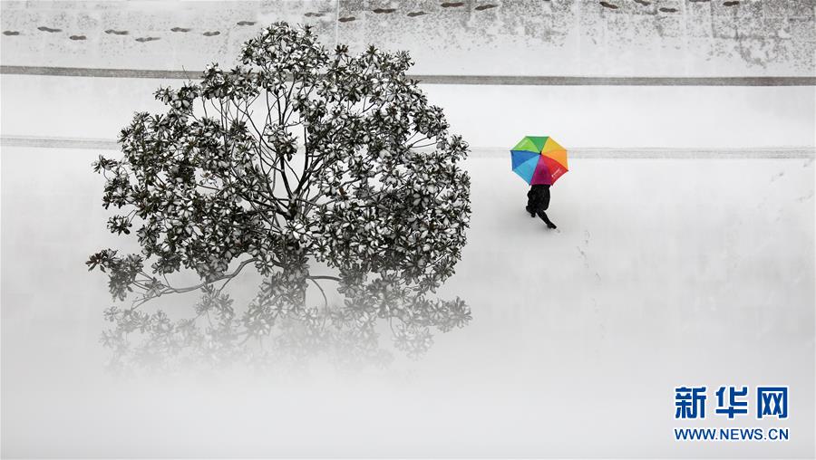 #（环境）（3）我国多地迎来强降雪