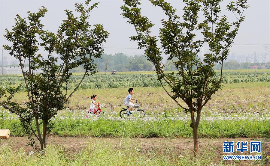 （新华全媒头条·走向我们的小康生活·图文互动）（14）城市，让人民生活更美好