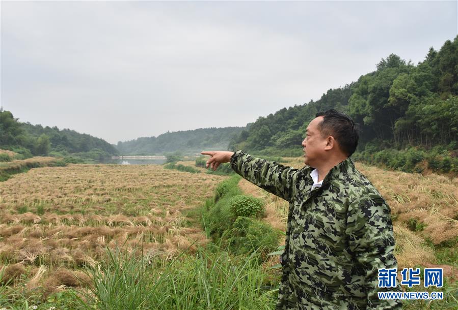 （代表委员履职·图文互动）（2）“我是农民代表，始终关注农村”——全国人大代表沈昌健的履职故事