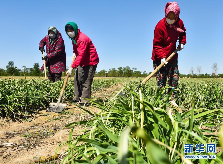 （新华全媒头条·图文互动）（17）从人民中汲取磅礴力量——习近平总书记同出席2020年全国两会人大代表、政协委员共商国是纪实