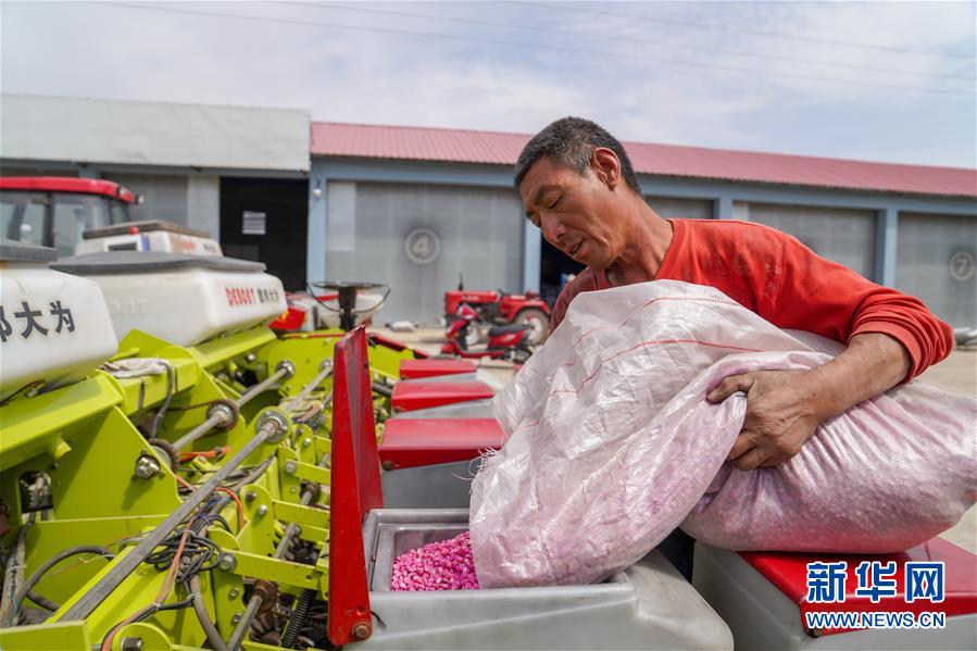 （在习近平新时代中国特色社会主义思想指引下——新时代新作为新篇章·习近平总书记关切事·图文互动）（8）让每一寸耕地都成为丰收的沃土——我国加强耕地?；ね平?ldquo;藏粮于地”